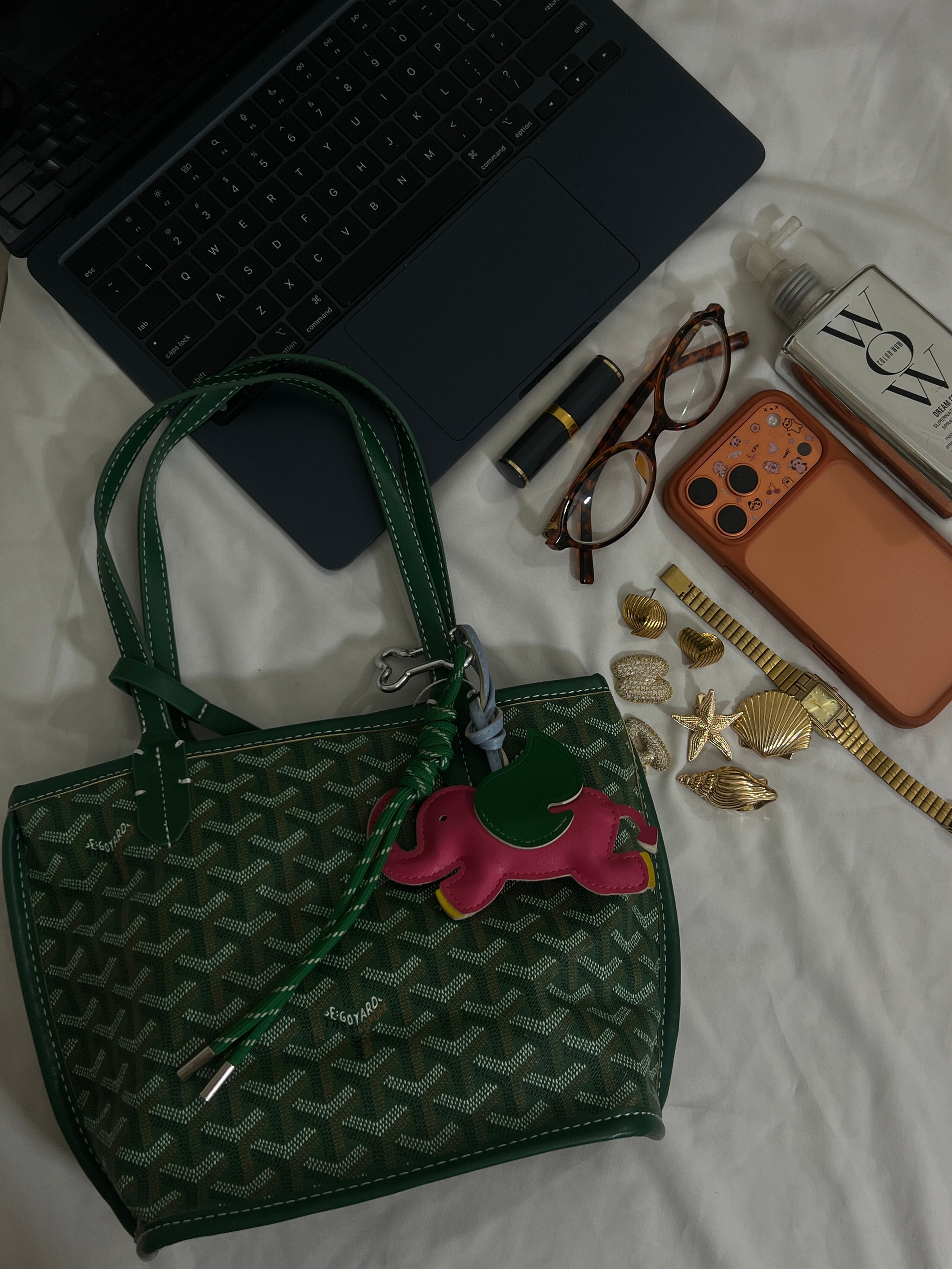 Goyard Tote Bag - Mini Green (With Pouch)