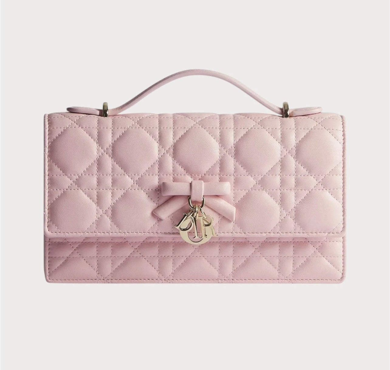 Dior mini Bag with Brand Box