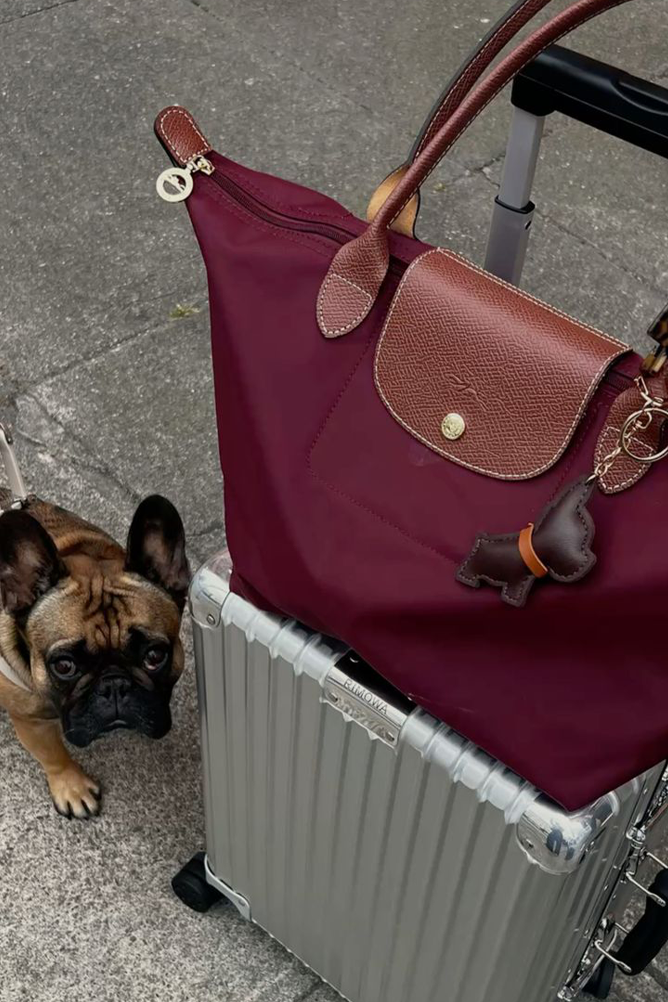 Longchamp Tote LARGE - Wine Red (WITH BRAND LOGO)