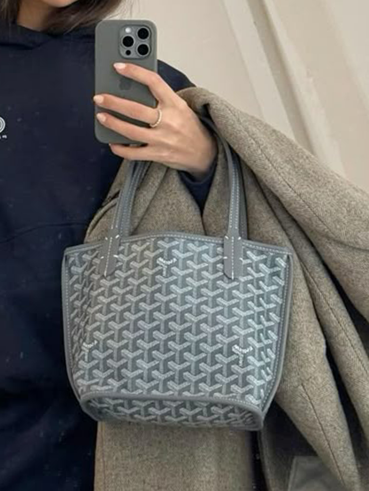 Goyard Tote Bag - Mini Grey (With Pouch)